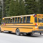 Der Shuttle am Moraine Lake