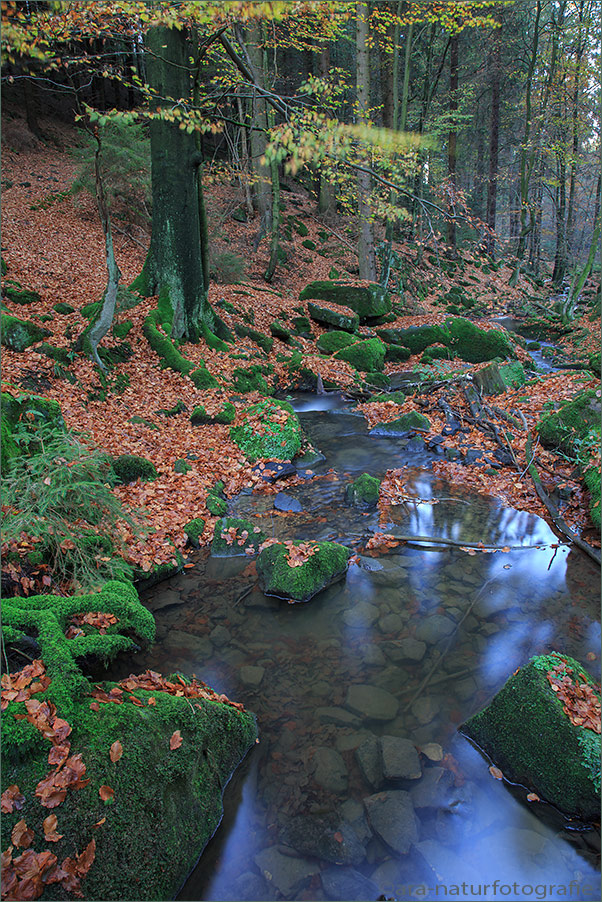 Silberbach Silberbach