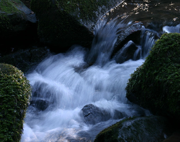 Der Silberbach im Sonnenschein..