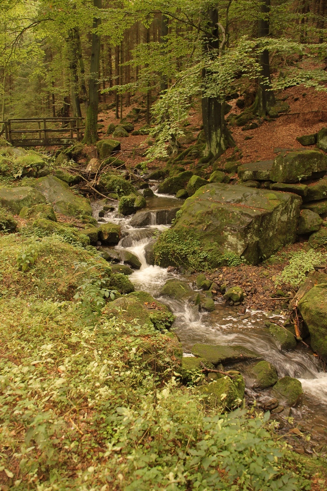 Der Silberbach im Teutoburger Wald