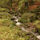 Der Silberbach im Teutoburger Wald