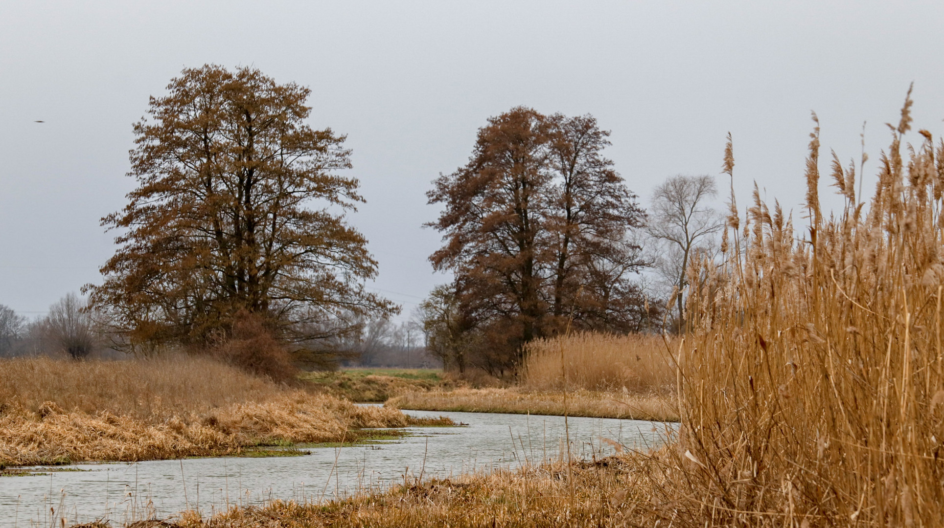 Der silberne Fluß fließt durch das gooldene Land