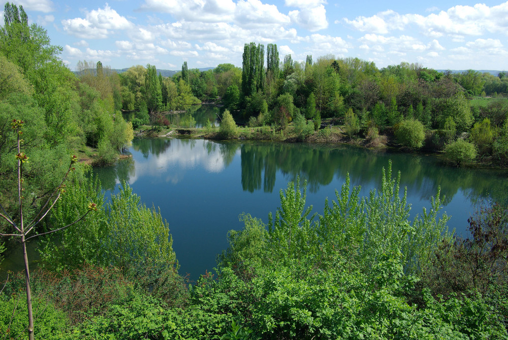 Der Silbersee im Engerser Feld (bei Neuwied-Engers)