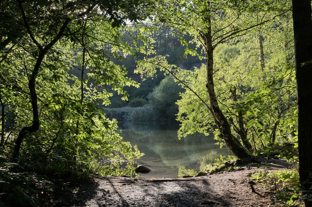 Der Silbersee nach dem Regen I