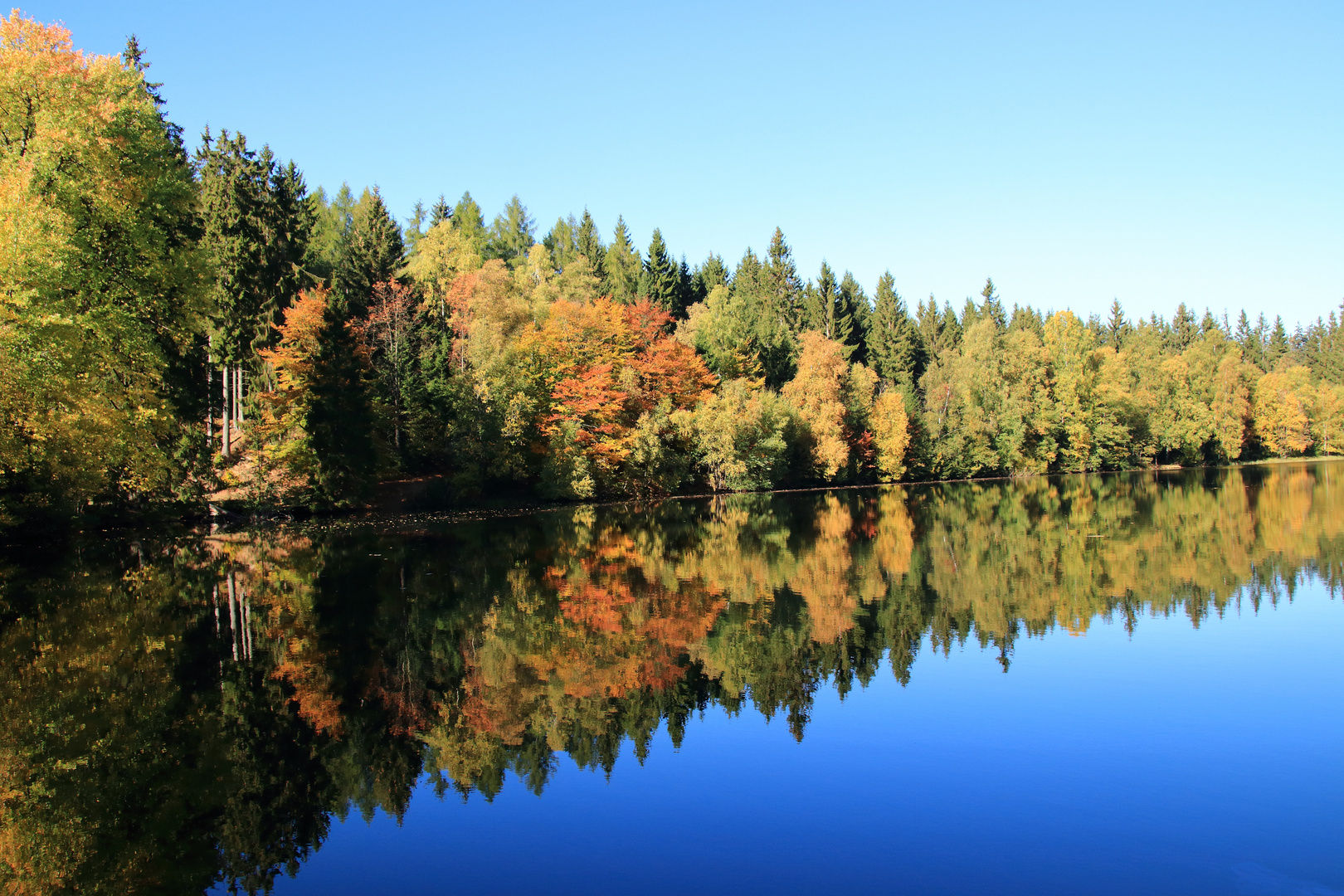 Der Silberteich im Herbst