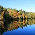 Der Silberteich im Herbst