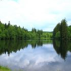 Der Silberteich im Wald von Braunlage