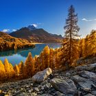 Der Silser Höhenweg mit Blick zum Silser See im Engadin im Herbst