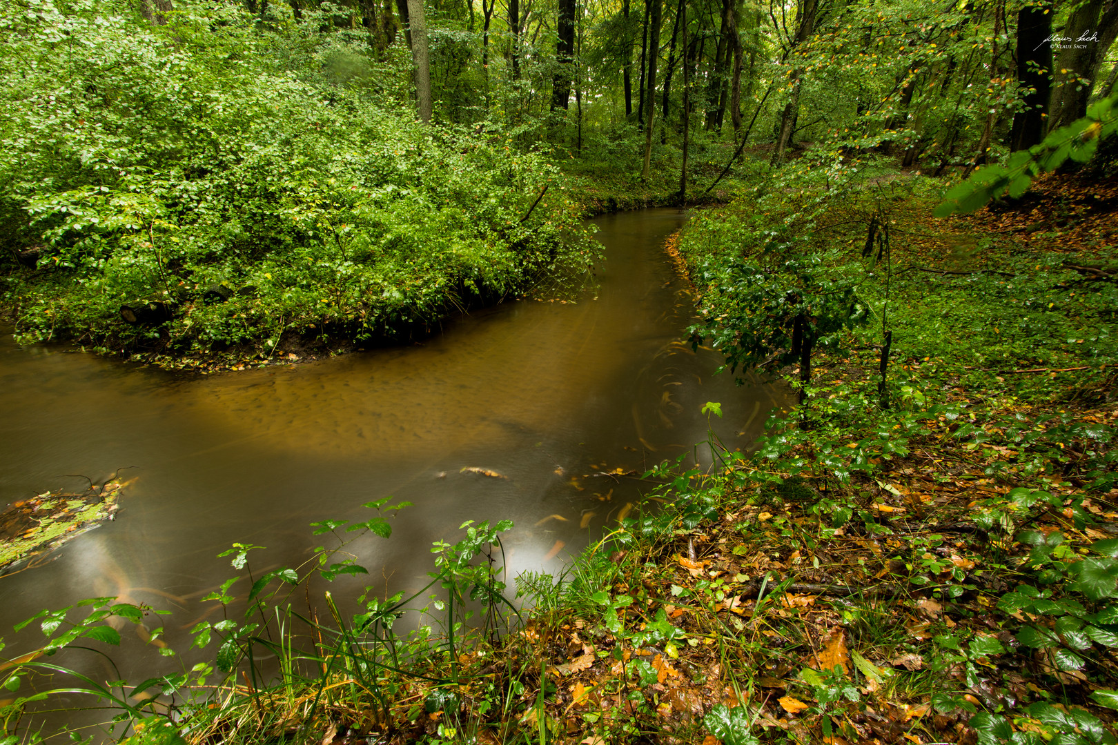 Der Silvertbach im Naturschutzgebiet "Burg" Marl