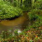 Der Silvertbach im Naturschutzgebiet "Burg" Marl