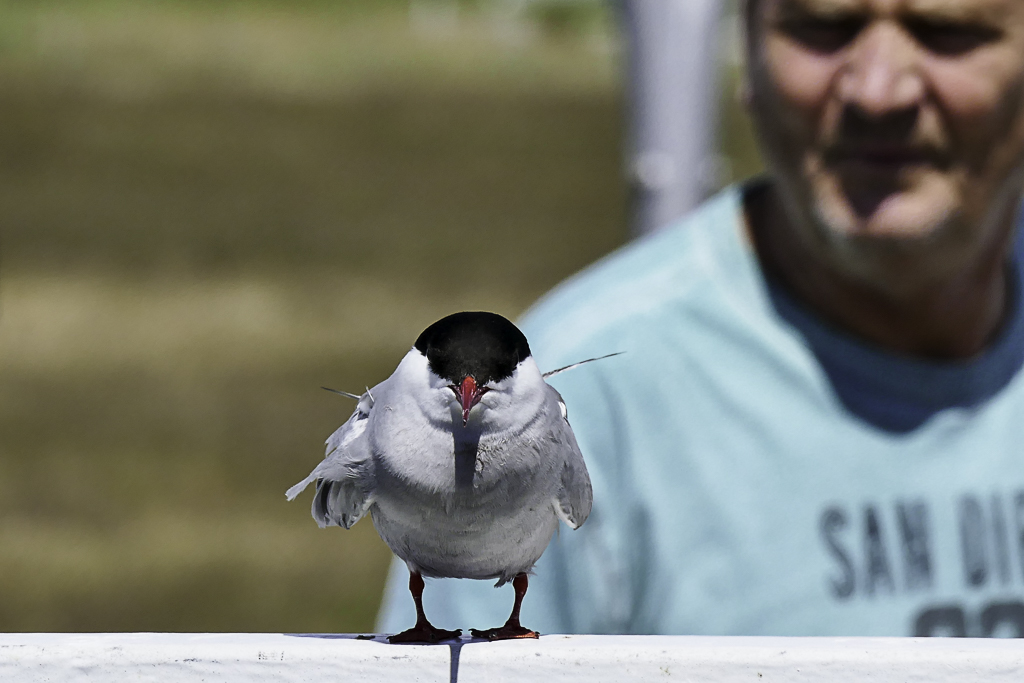 Der skeptische Blick