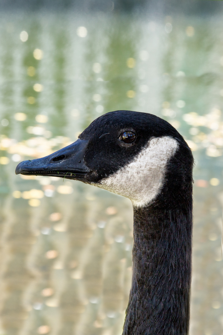 Der skeptische Blick