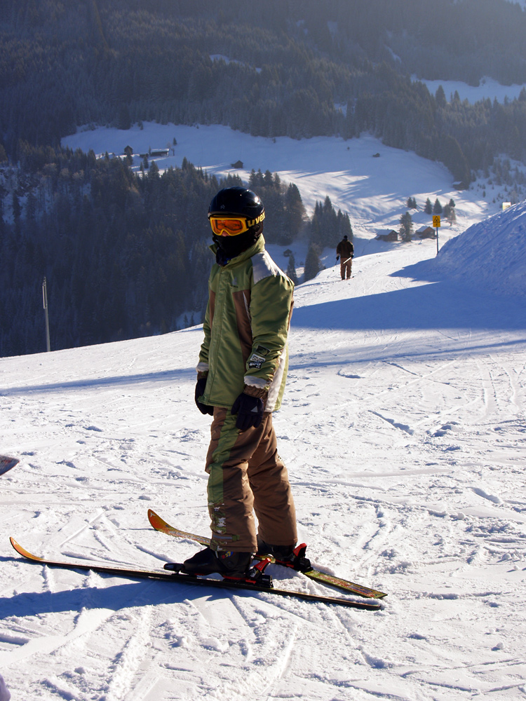 Der Ski-Fahrer...