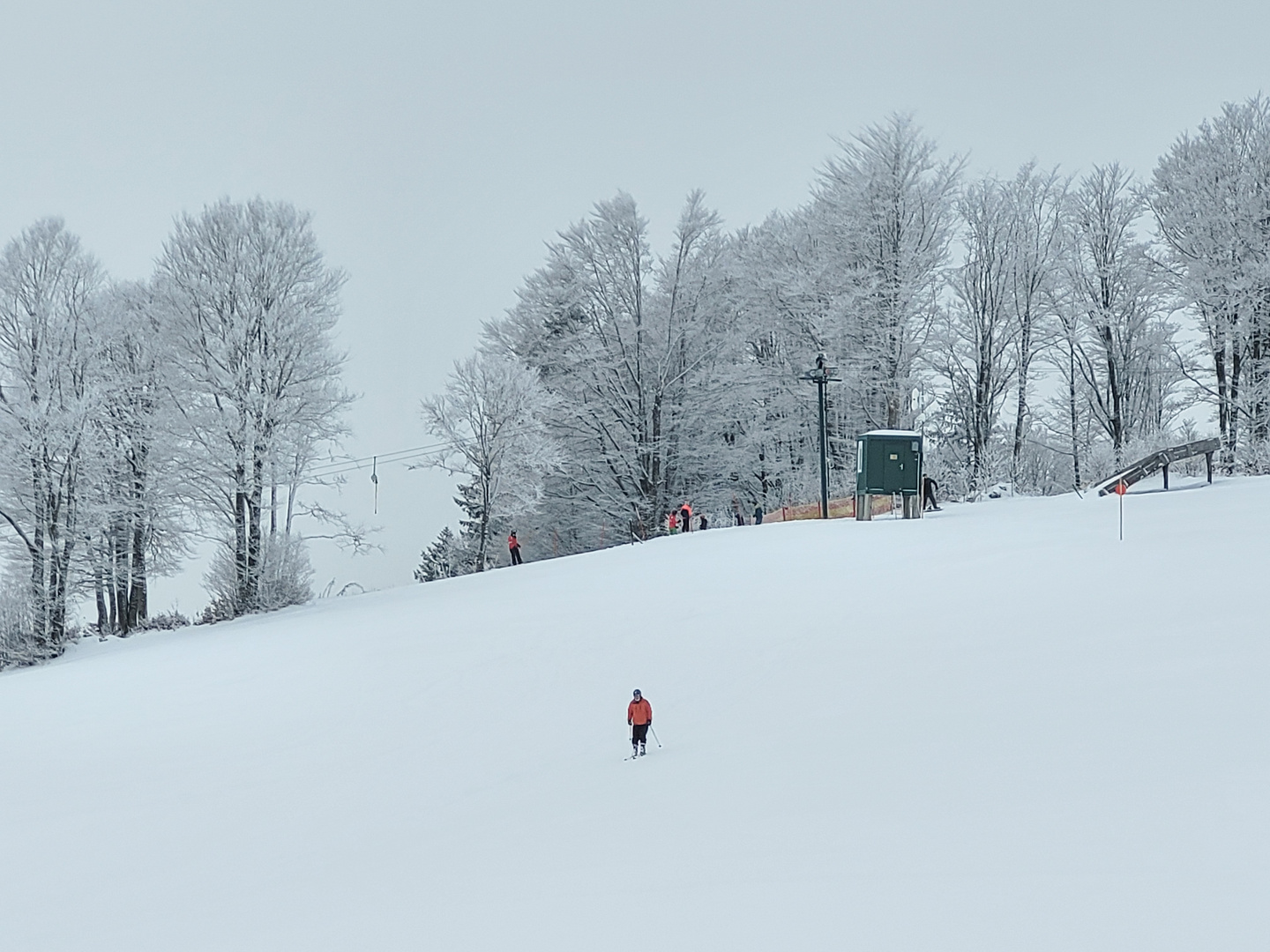 Der Skifahrer