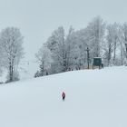 Der Skifahrer