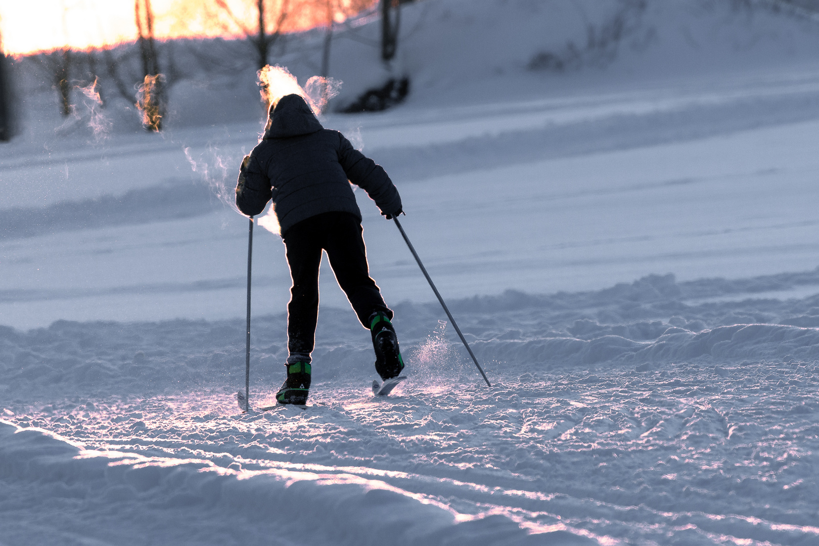 Der Skifahrer