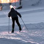 Der Skifahrer