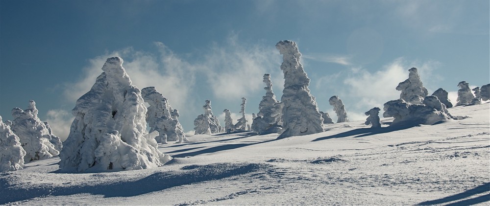 der Skulpturengarten