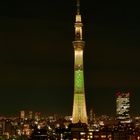 Der Sky Tree in Tokio bei Nacht