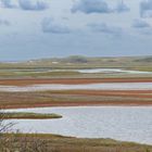 Der  Slufter auf Texel.