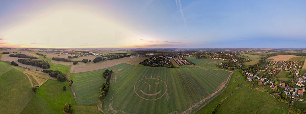 Der Smiley im Feld