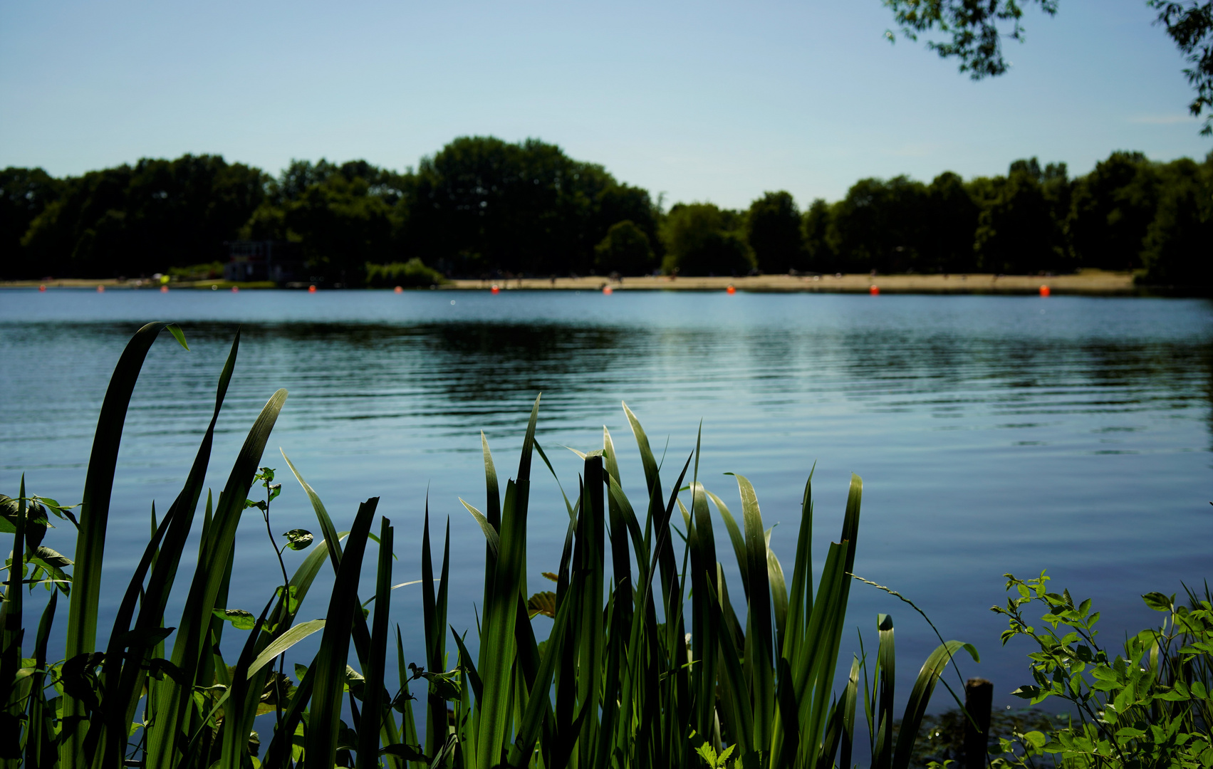 der sodenmattsee