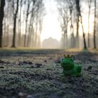 Der Sögeler-Schlossfrosch vor dem Clemenswerther Barockschloss.