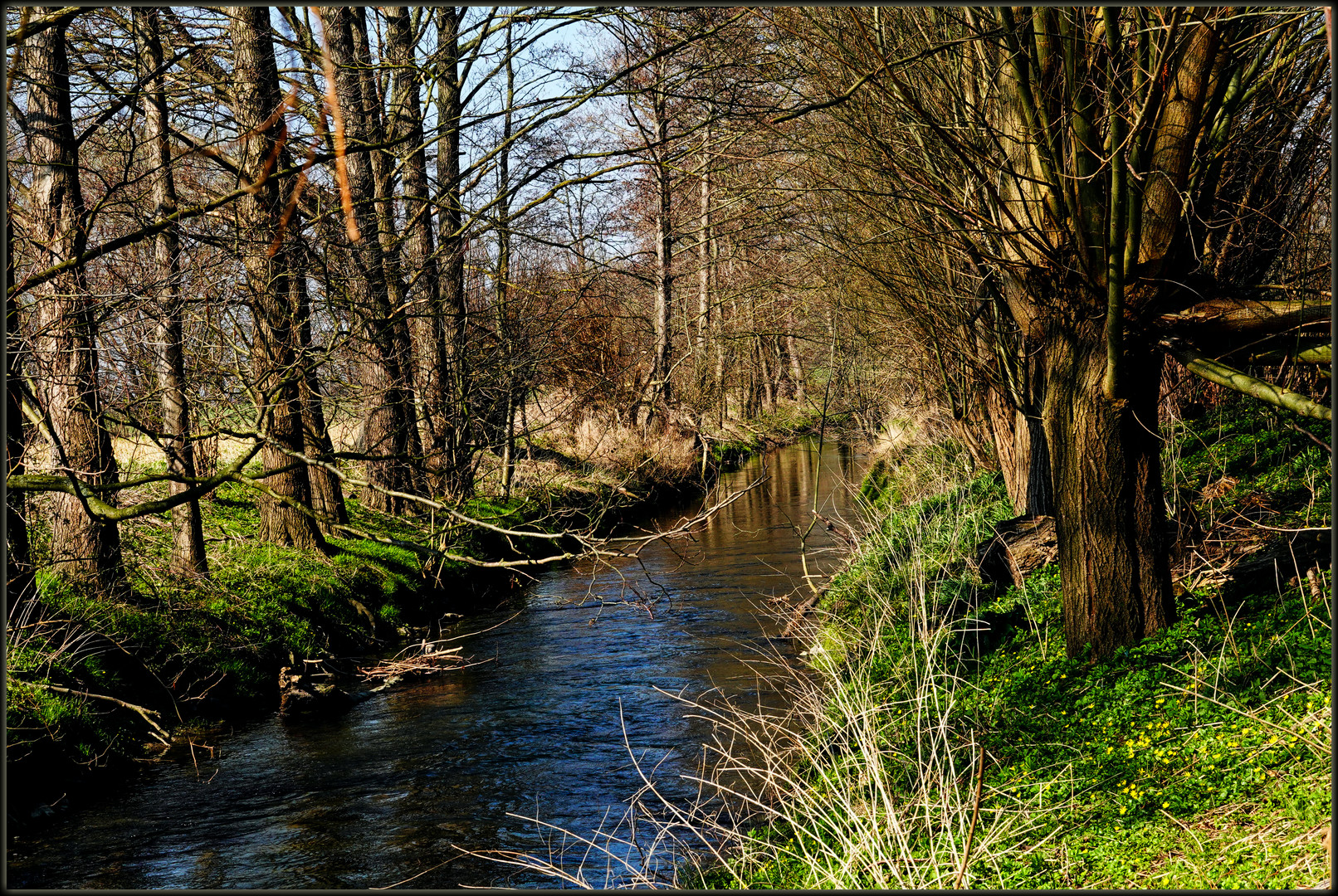 Der Soestbach im Frühlingslicht