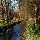 Der Soestbach im Frühlingslicht