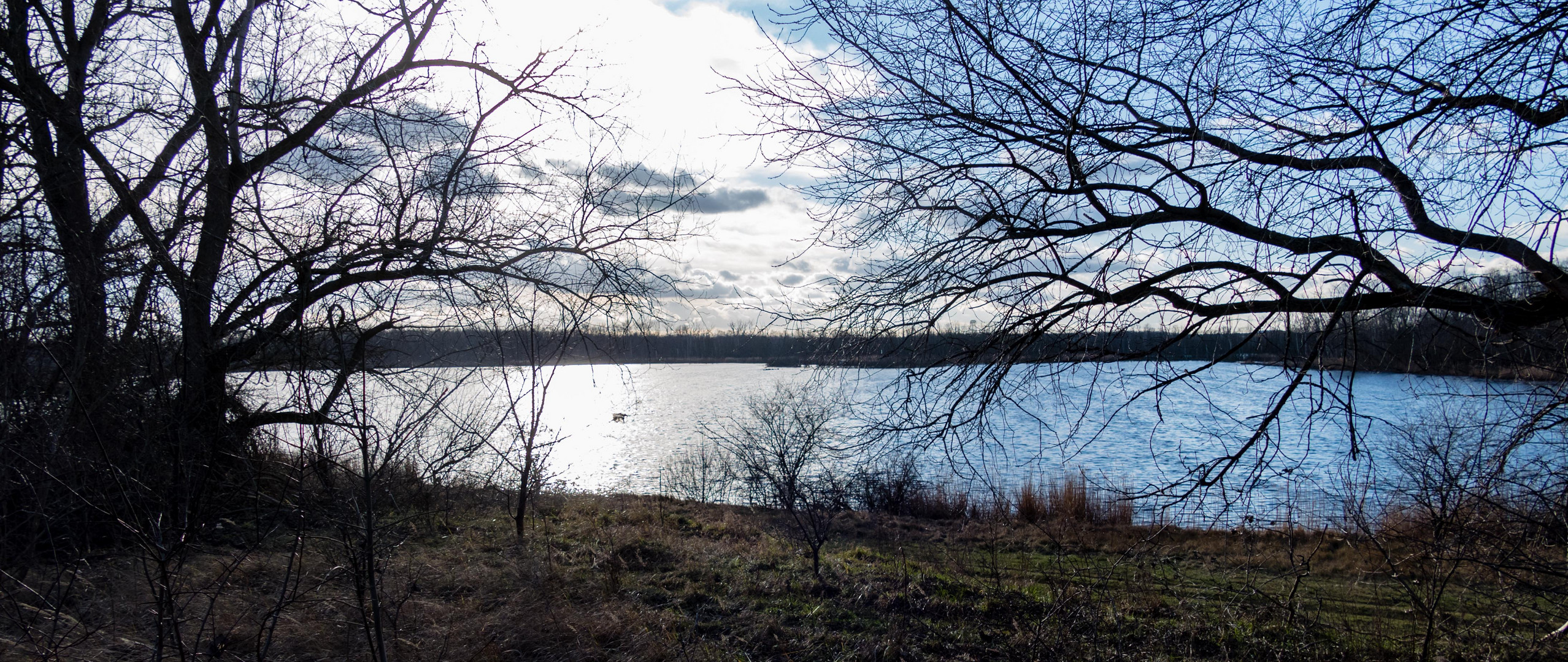 Der sogenannte Silbersee bei Wolfen