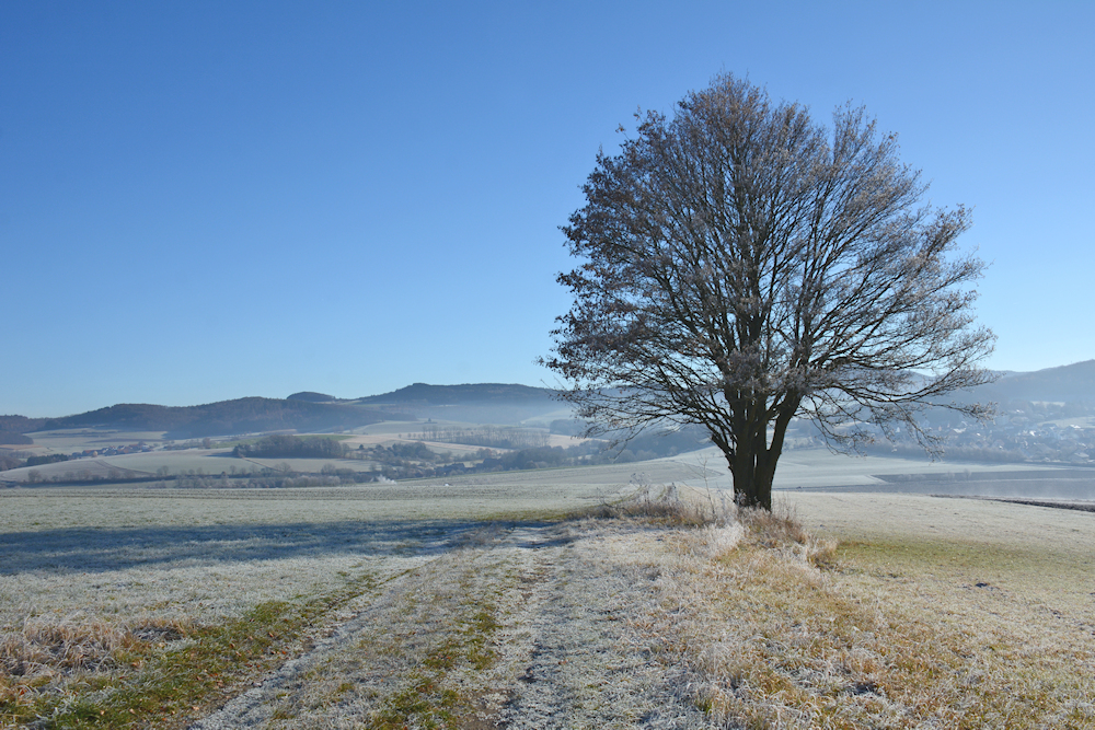 der Solitär...