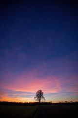 Der Solitär zur Blauen Stunde 