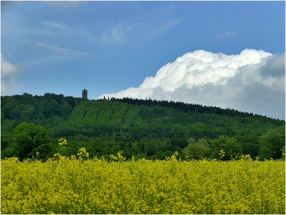 Der Sollingturm