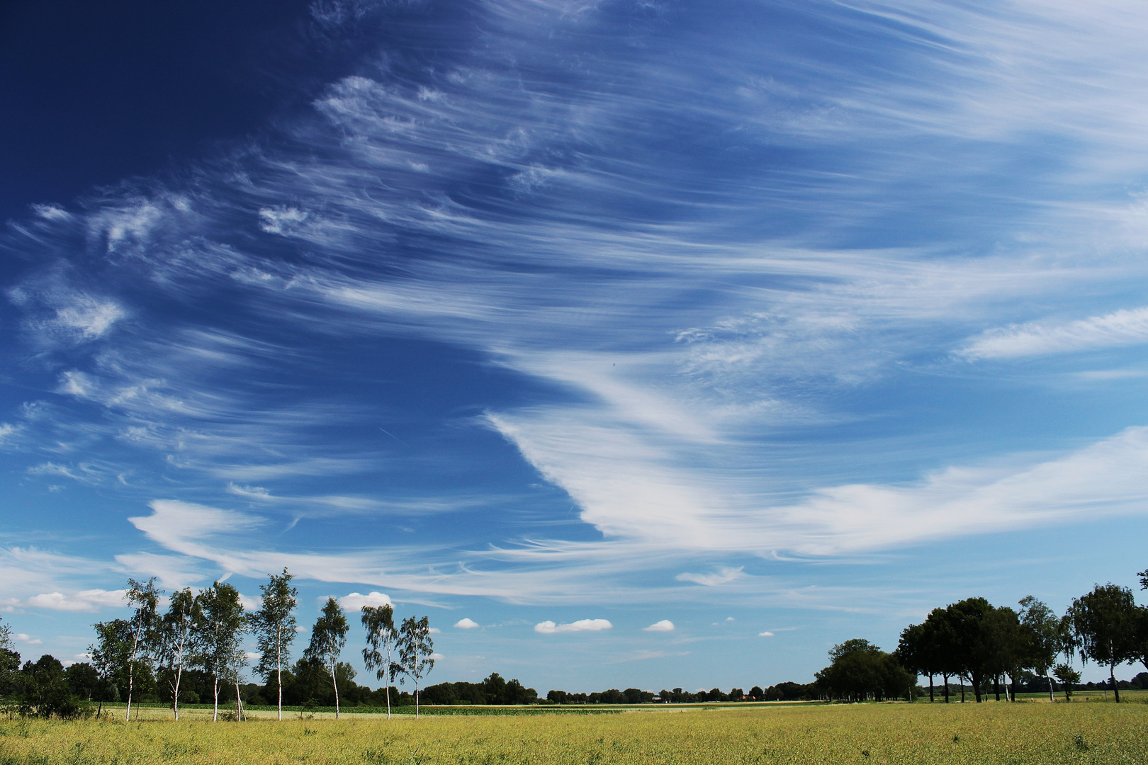 Der Sommer 2