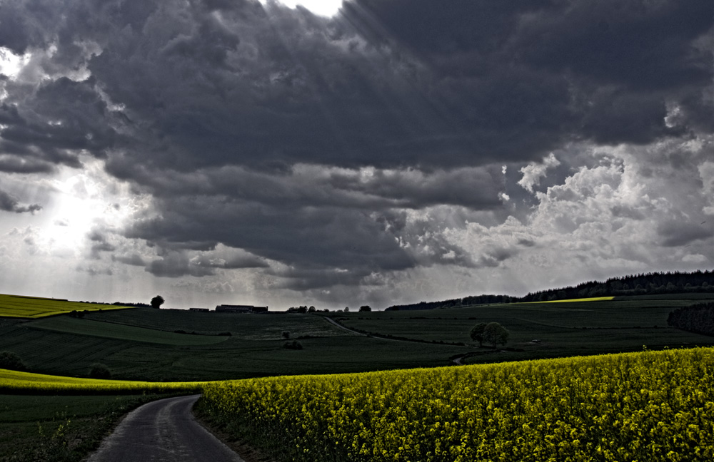 Der Sommer 2007 kündigt sich an...