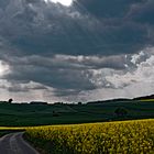 Der Sommer 2007 kündigt sich an...