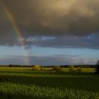 Der Sommer 2010 läßt grüßen.......Ostfriesland......