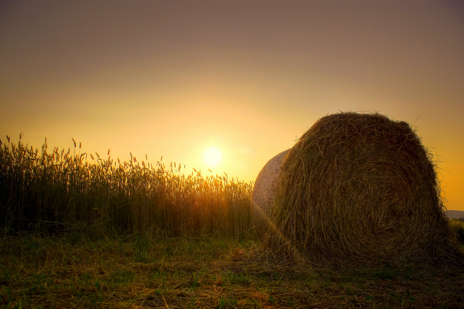 Der Sommer