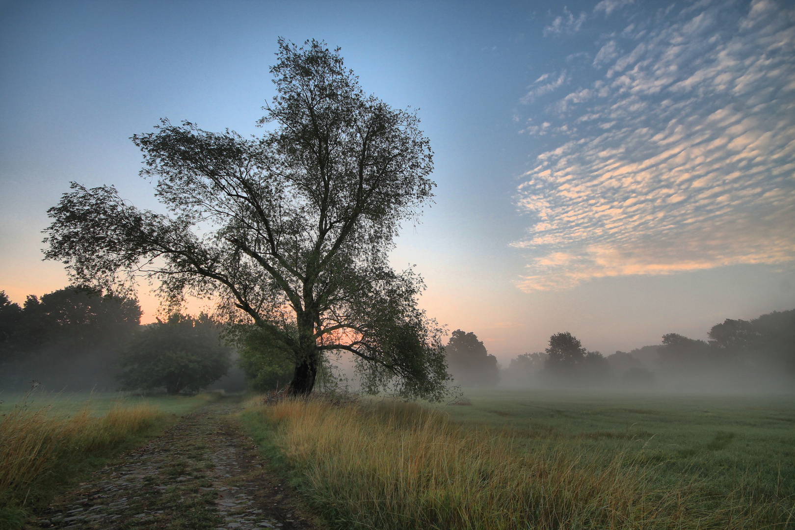 Der Sommer...