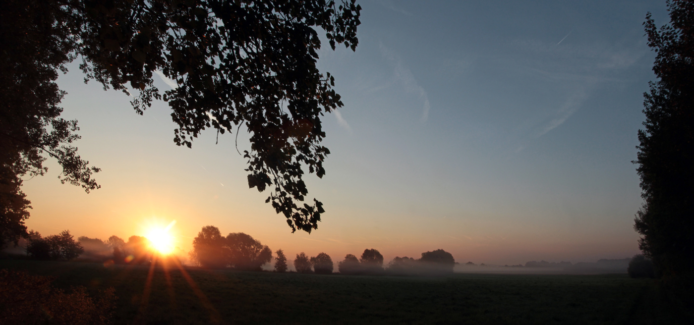 Der Sommer..