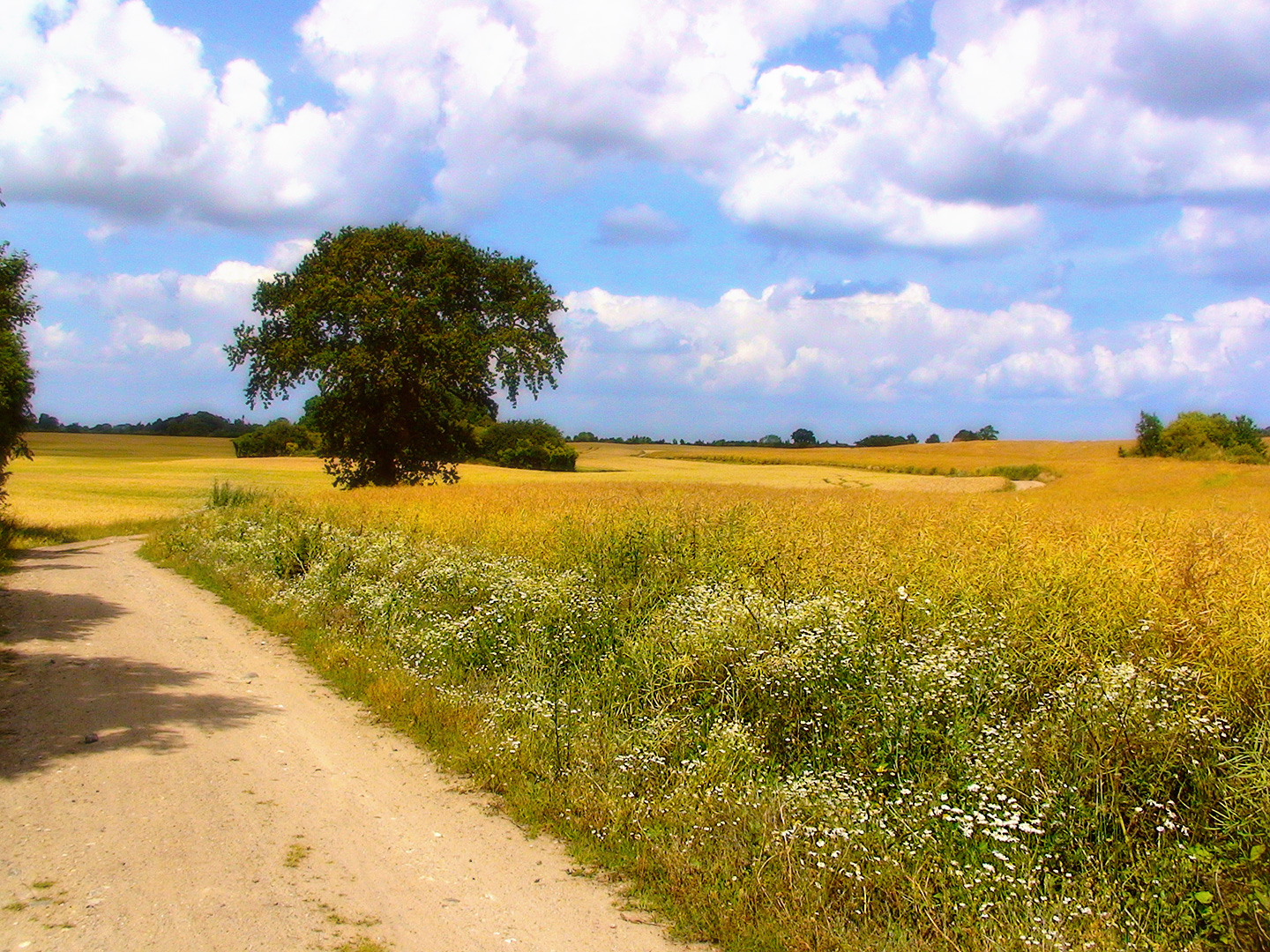 Der Sommer als wir fliegen lernten