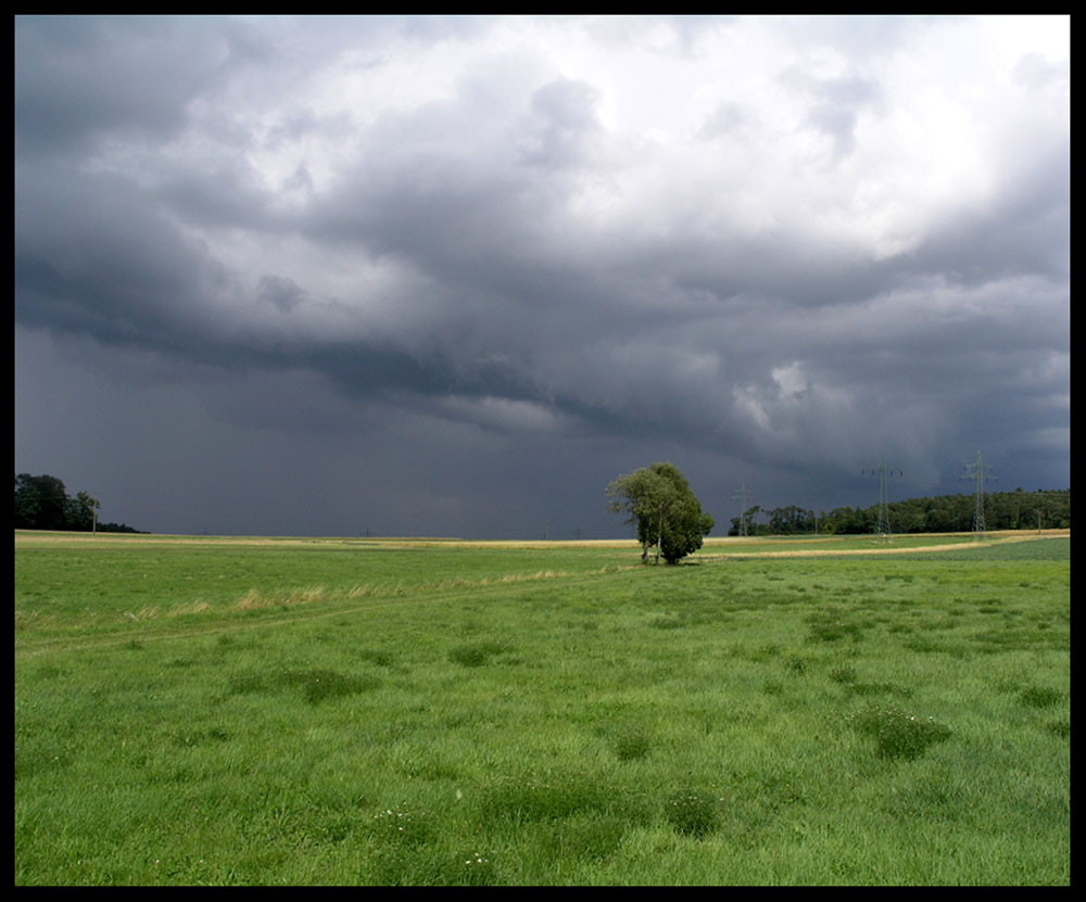 der Sommer.....