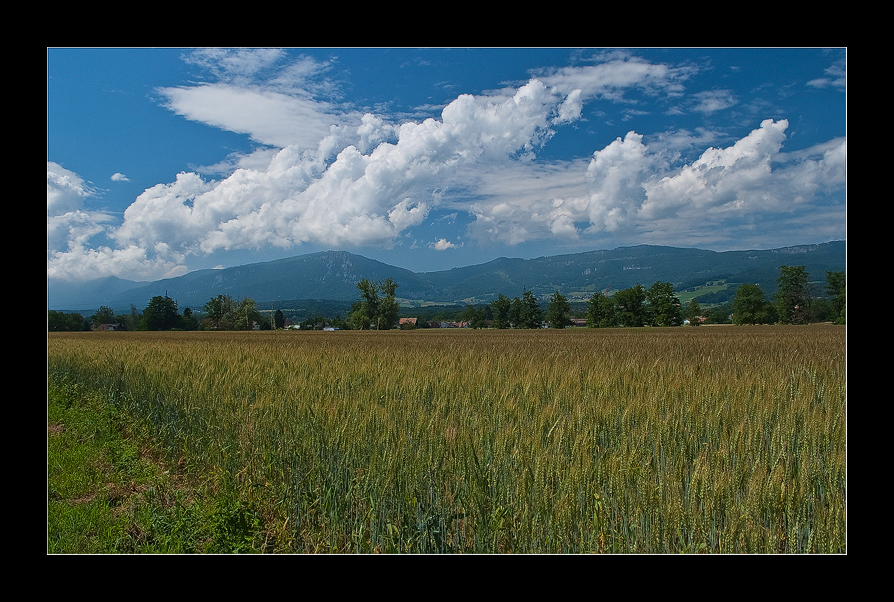 Der Sommer beginnt