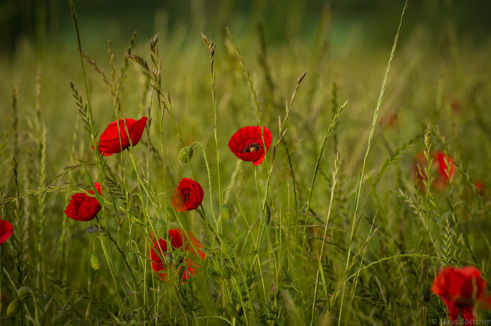 Der Sommer deutet sich an