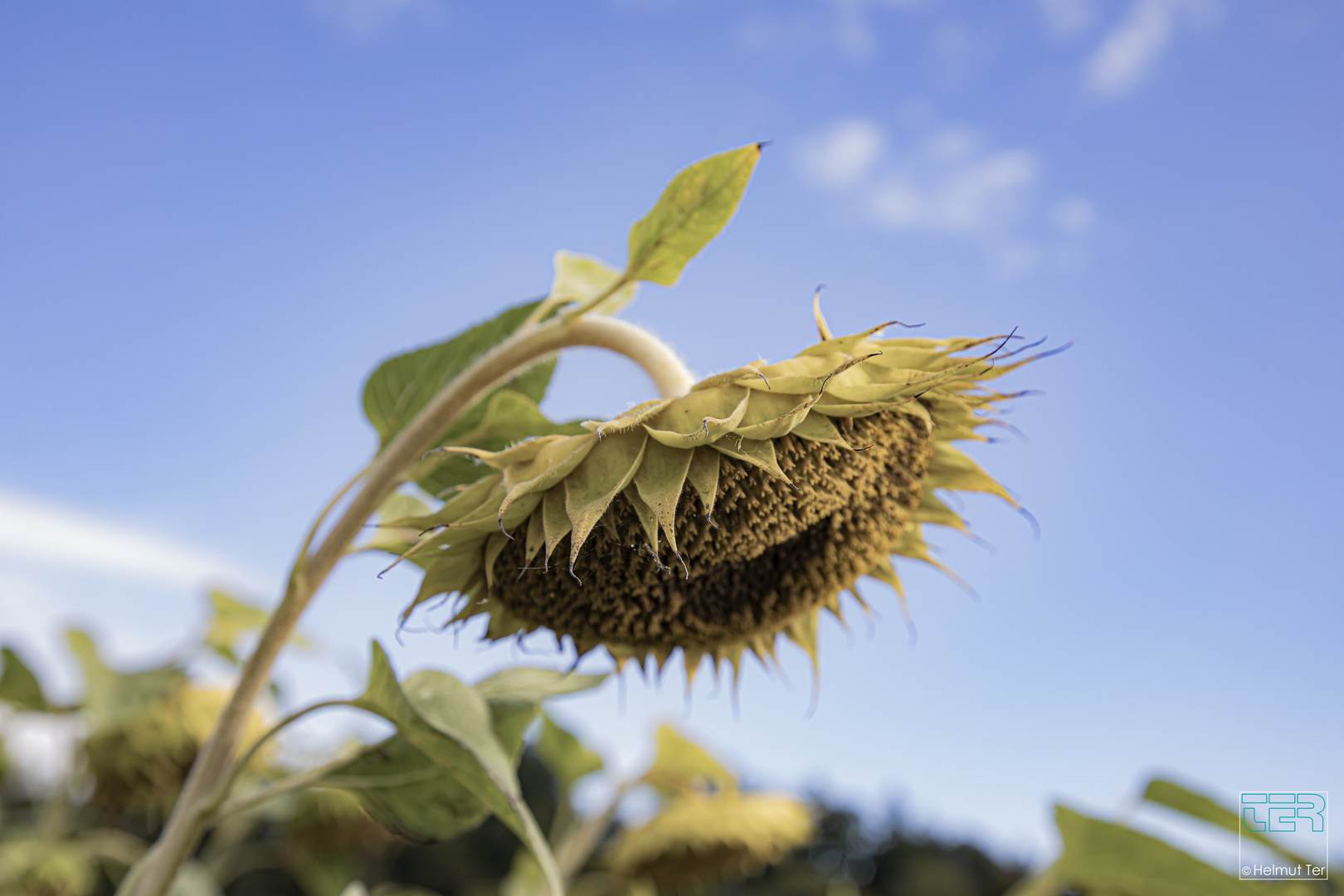 Der Sommer geht dem Ende entgegen