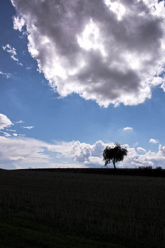 Der Sommer geht dem Ende zu