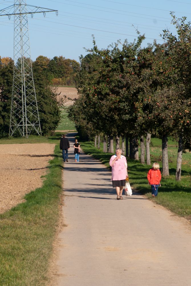 Der Sommer geht, der Herbst kommt