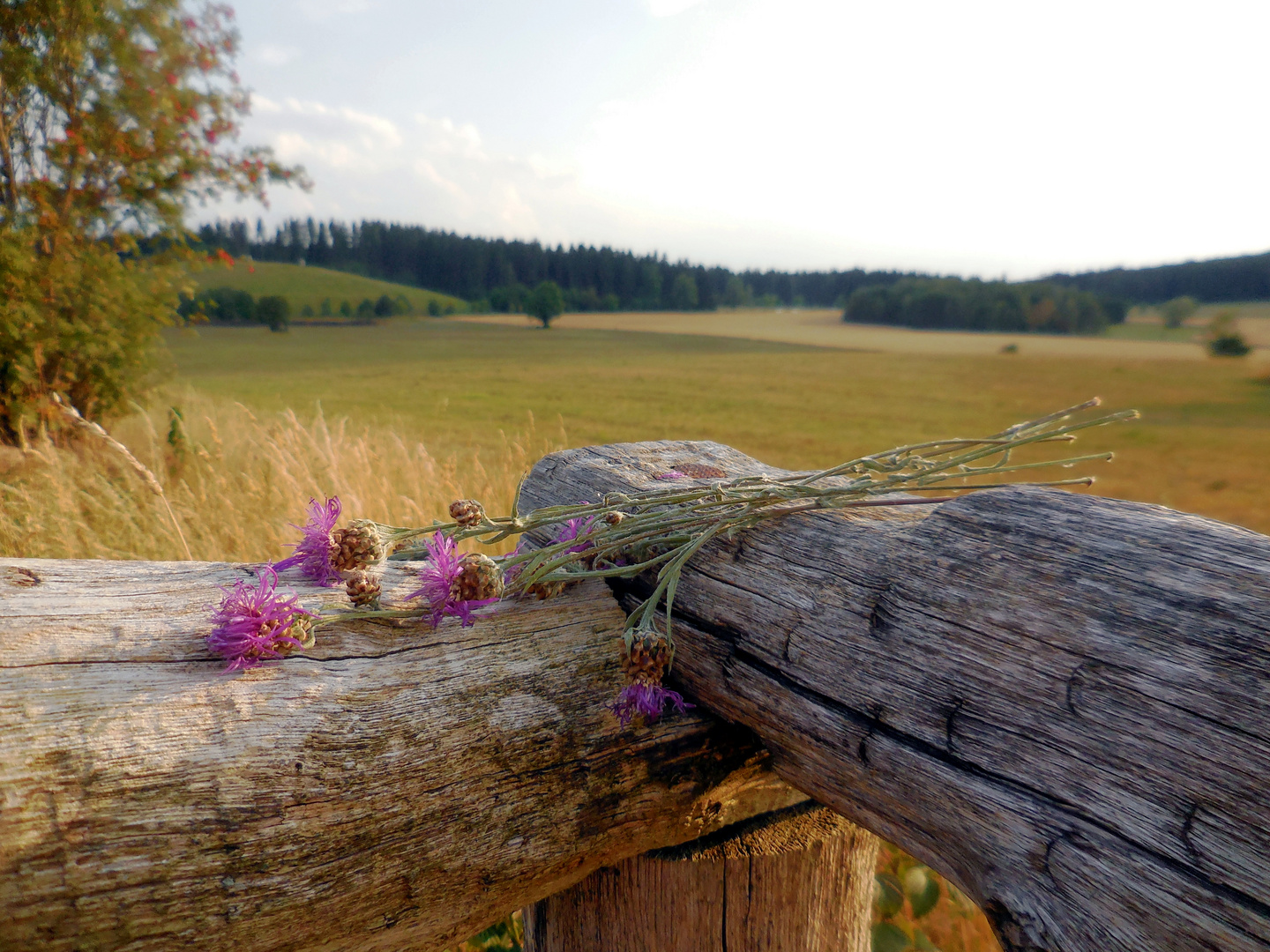 der Sommer geht