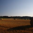 der Sommer geht langsam wieder ...