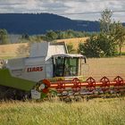 Der Sommer geht langsam zu Ende